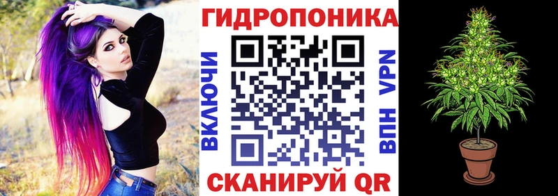 Виды наркоты Сасово Псилоцибиновые грибы  КОКАИН  СОЛЬ  Мефедрон  ГАШИШ 
