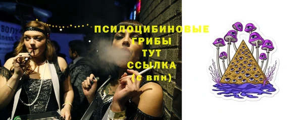 амф Нефтекумск