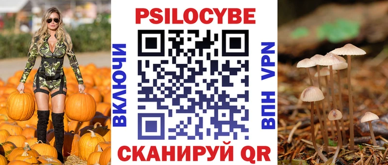 сколько стоит Сасово Галлюциногенные грибы Psilocybe