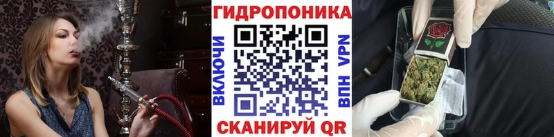 blacksprut сайт  Сасово  МАРИХУАНА Bruce Banner 